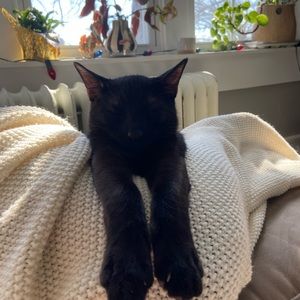 Meet your Posher, Jacob